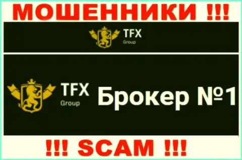 Не советуем доверять средства TFX-Group Com, так как их направление деятельности, Forex, обман
