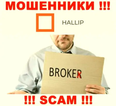 Тип деятельности интернет-обманщиков Халлип это Брокер, однако знайте это развод !