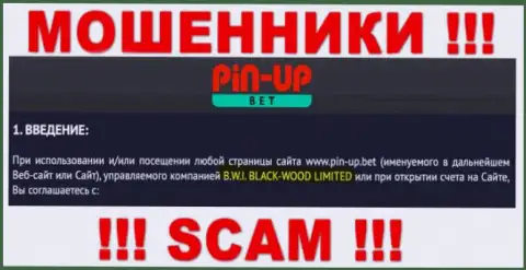 Юридическое лицо компании PinUp Bet - это B.W.I. BLACK-WOOD LIMITED, информация позаимствована с официального сайта