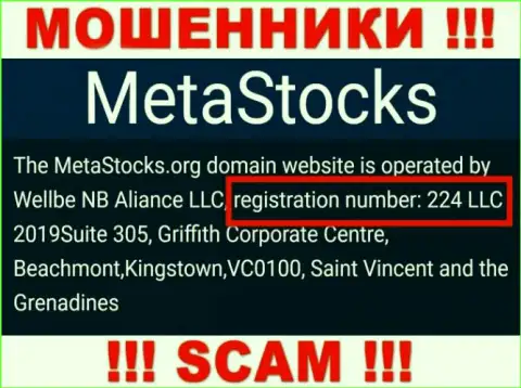 Номер регистрации организации Мета Стокс - 224 LLC 2019