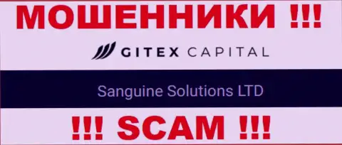 Юридическое лицо GitexCapital Pro - это Sanguine Solutions LTD, такую информацию предоставили мошенники на своем информационном сервисе