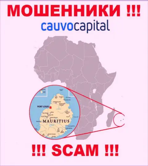 Организация Cauvo Capital сливает средства людей, зарегистрировавшись в офшорной зоне - Маврикий