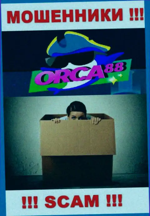 Начальство Orca88 засекречено, у них на портале о себе инфы нет