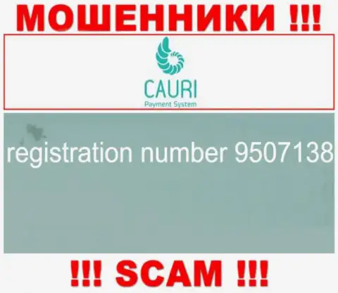Регистрационный номер, принадлежащий неправомерно действующей конторе Cauri: 9507138