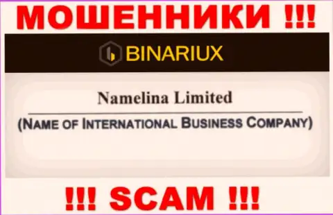 Binariux Net - это интернет-разводилы, а руководит ими Namelina Limited