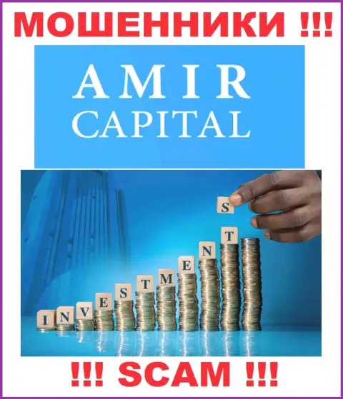 Не отдавайте финансовые средства в AmirCapital, сфера деятельности которых - Инвестирование