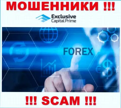 Форекс - это направление деятельности незаконно действующей организации Exclusive Capital