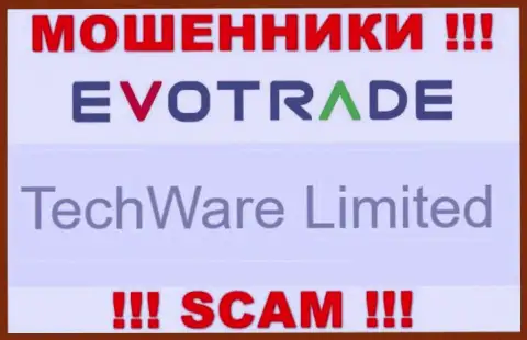 Юридическим лицом ЕвоТрейд считается - TechWare Limited