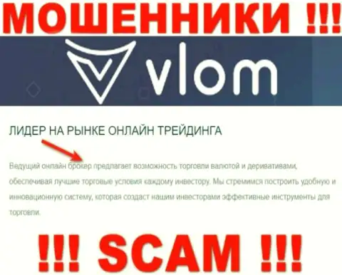 Ворюги Vlom представляются специалистами в сфере Брокер