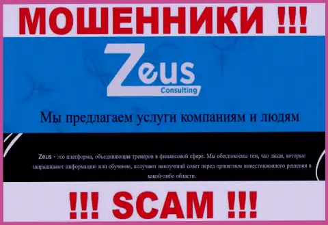 Направление деятельности обманщиков Zeus Consulting - это Консалтинг, однако знайте это обман !