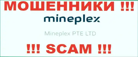 Руководством МайнПлекс является компания - Mineplex PTE LTD