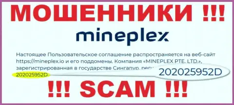Рег. номер еще одной жульнической организации MinePlex - 202025952D