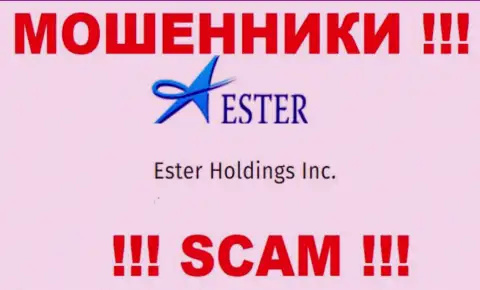 Данные о юридическом лице интернет-воров Ester Holdings