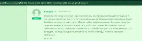 Отзыв реального биржевого игрока дилера Зиннейра, взятый с сайта gorodfinansov com