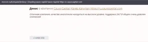 Дилинговая организация CauvoCapital описана в отзыве на сайте Ревокон Ру